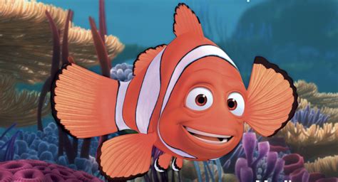 nemo fish|Marlin to Nemo .